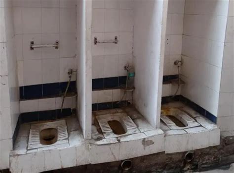 印度农村厕所都这样上，这样的生活一天都不能过！ - 每日头条