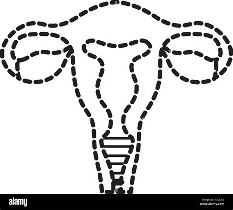 Fallopian Tube Section High Resolution Stock Photography and Images - Alamy