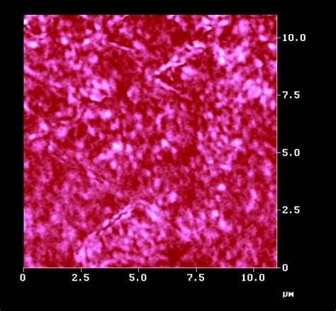 Snom Spectroscopy 的图像结果