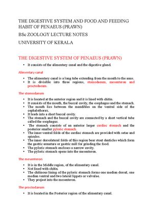 Respiratory System OF Prawn ( Penaeus) - RESPIRATORY SYSTEM OF PRAWN ...