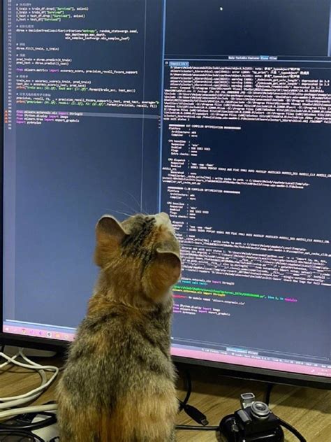 Image result for Visual Studio Code Cat