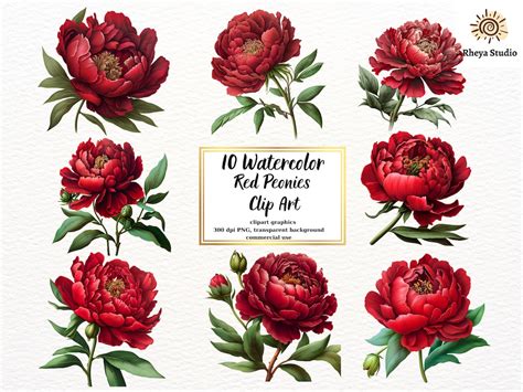 Buy Red Peonies Clipart 10 High Quality Pngs Transparent Background ...