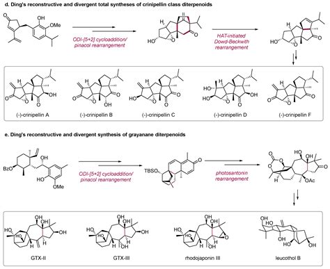 Deconstructive and Divergent Synthesis of Bioactive Natural Products ...