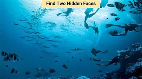 Optical Illusion IQ Test: Only 2% with high IQ can find two hidden ...