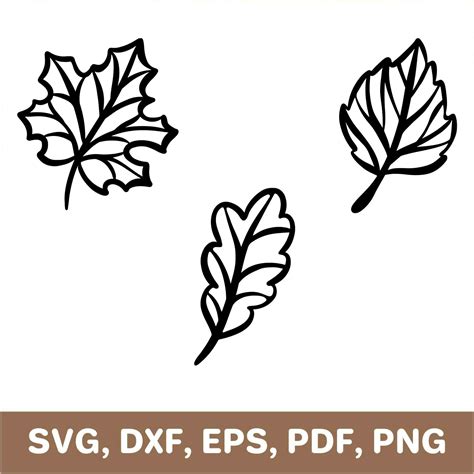 Fall leaves svg, autumn leaves svg, fall leaves dxf, autumn - Inspire Uplift