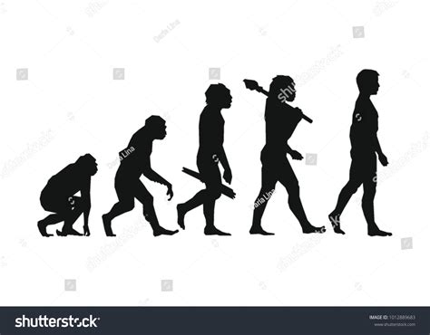 Image result for Evolution Vector