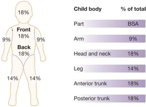 Assessment and Management of Acute Burn Injuries - Physical Medicine ...
