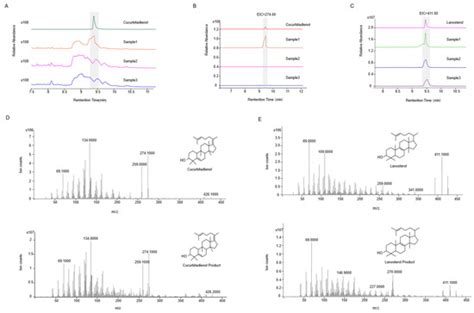 Functional Characterization of Squalene Epoxidases from Siraitia ...
