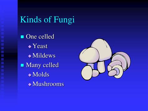 Image result for Classification System