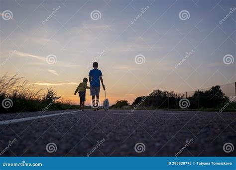 Two Boys, Brothers, Children, Blond Boys with Pet Dog, Maltese Breed ...