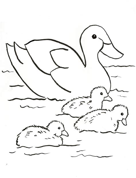 Duck Coloring Pages Printable