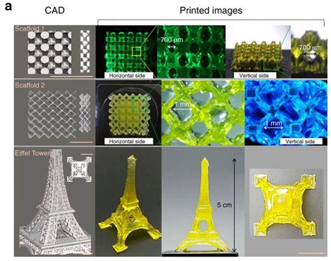 Three-Dimensional Digital Light-Processing Bioprinting Using Silk ...