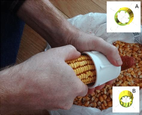 Image result for Using a Corn Sheller