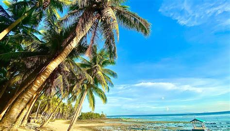 UNISAN SANDS BEACH RESORT (2025) All You Need to Know BEFORE You Go ...