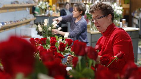 20 Facts About Indigo Rose Tomato - OhMyFacts