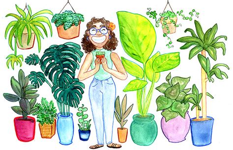 The Mental Health Benefits of Keeping Plants at Home