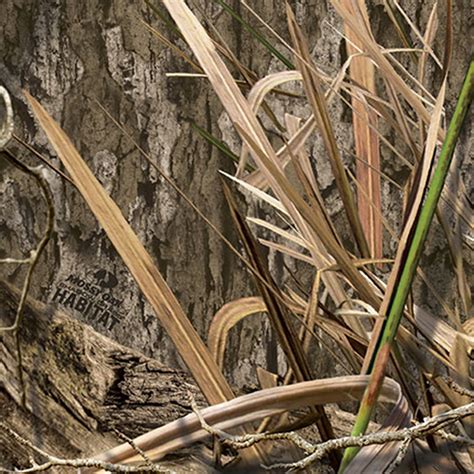 Buy June Tailor Camouflage Cotton Sewing and Quilting Fabric, 58 Wide ...