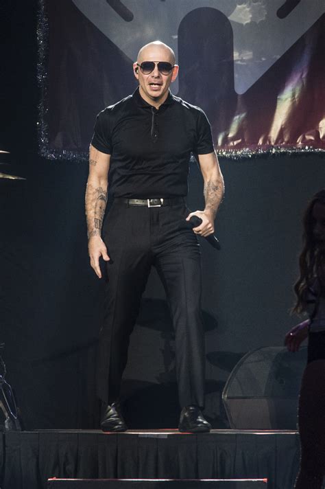 Pitbull Rapper Achtergrond Download Singer And Rapper, Pitbull,