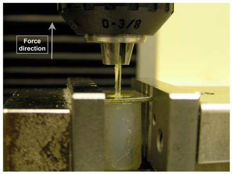 Cohesive Zone Modeling of Pull-Out Test for Dental Fiber–Silicone Polymer