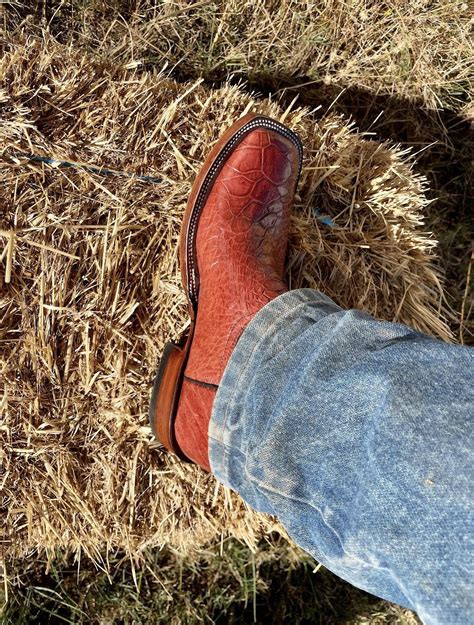 Not you’re granddaddy’s 🐢‘ s : r/cowboyboots