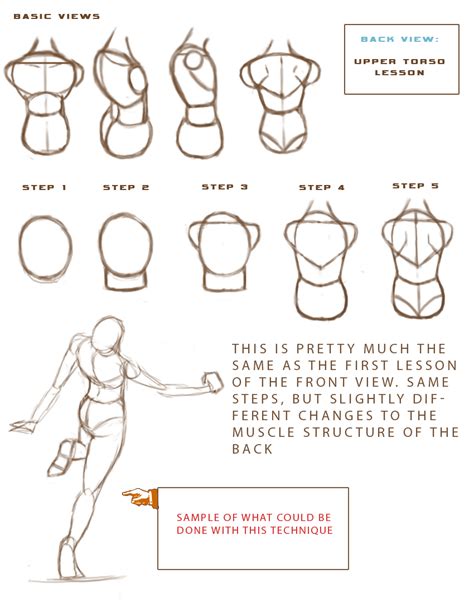 Image result for Free Anatomy Tutorial