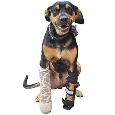 Walkin' Walkin Fit Adjustable Pet Splint | Dog Foot Splint India | Ubuy