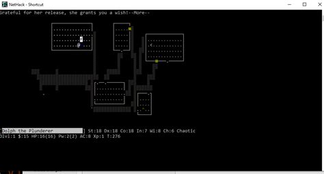 Image result for Playing NetHack