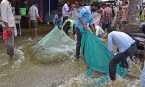 Bengaluru's Roads Were So Flooded From An Overflowing Lake That Locals ...