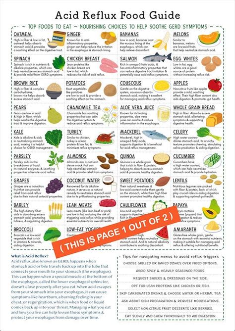 Acid Reflux Food Guide, GERD, 2-page Pdf, PRINTABLE DOWNLOAD, Heartburn, Gastritis Relief, Low ...