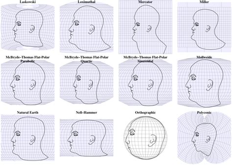 Image result for Face Map Render