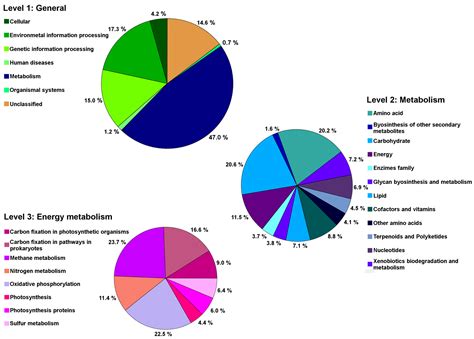 Seed Endophyte Microbiome of Crotalaria pumila Unpeeled: Identification ...