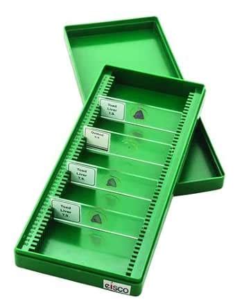 EISCO Microscope Slide Box – 100 Slot Storage Case | Durable ...