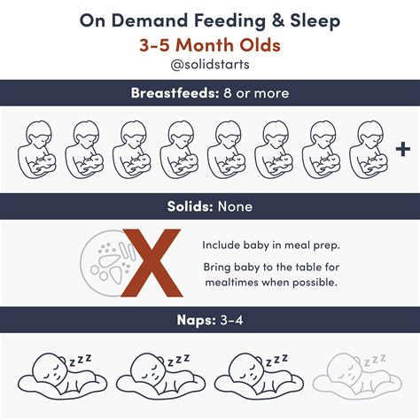 Baby Feeding Schedules by Month - From 6 to 24 Months - Solid Starts