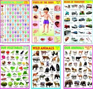 Educational Charts Set for Kids (Pack of 6) for Kids' Development ...