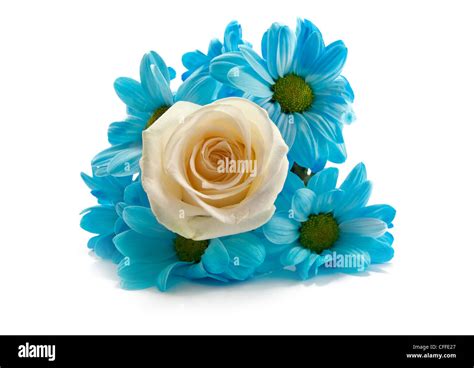 Image result for Composition of Flowers Tutorial