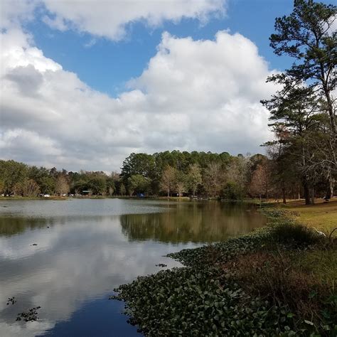 TOM BROWN PARK (2026) All You Need to Know BEFORE You Go (with Photos ...