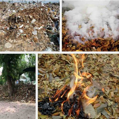 Saving leaves with Bengaluru's designers