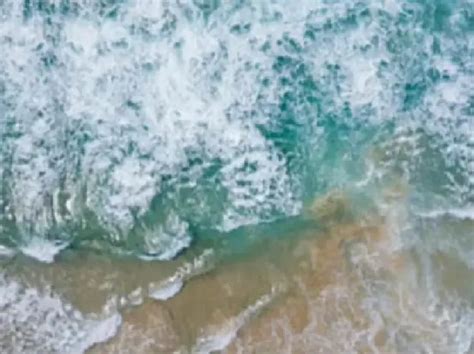 Ai 图片放大 的图像结果