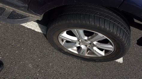 Image result for Sprinter Jack 2019