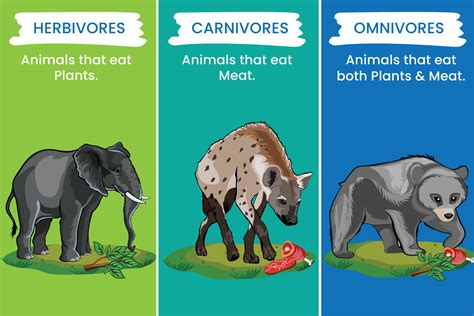 Actually Are Plants Omnivores An Easy Guide