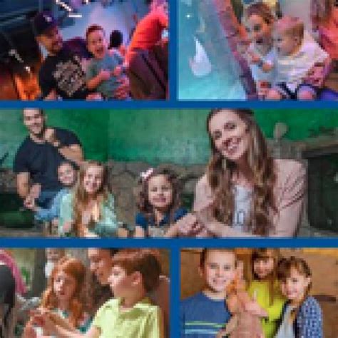 Embarrsing Spring Break 2019 的图像结果