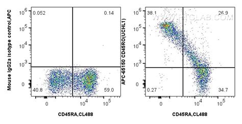 CD45RO antibody (APC-65150) | Proteintech