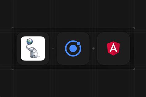 Image result for Ionic Angular Map Example