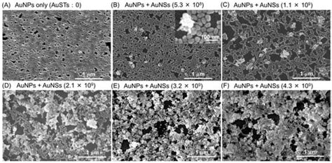 Development of Au Nanoparticle Two-Dimensional Assemblies Dispersed ...