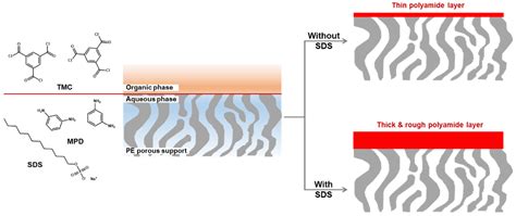 Thin-Film Composite Nanofiltration Membranes for Non-Polar Solvents