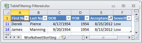 Excel Filtering Tables 的图像结果