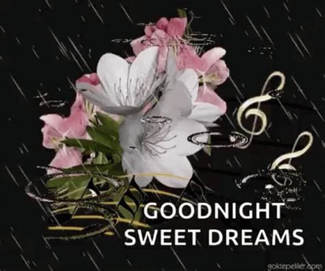 25+ Heartwarming Good Night Rainy GIFs to Feel the Comfort of a Rainy ...