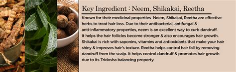 Soulflower Onion Biotin Shampoo| Hair Growth & Scalp Nourishment, Hair ...