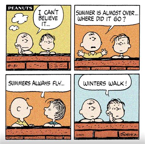 Charlie Brown & Linus | Charlie brown comics, Snoopy funny, Snoopy comics