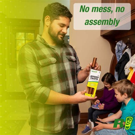 Buy बचाव! स्पाइडर जाल - कैच ब्राउन वैरागी, Hobo मकड़ियों, काले विधवाओं ...